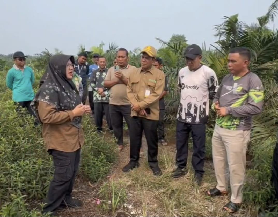 Jawab Pertanyaan Presiden, Bupati Siak Dorong Pencegahan Karhutla Berbasis Tata Air Gambut