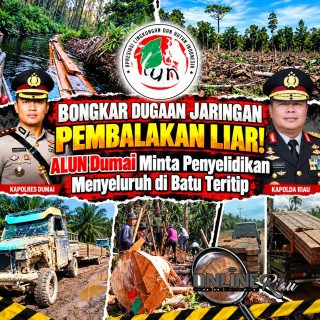Dugaan Illegal Logging di Batu Teritip Disorot, DPK ALUN Desak Kapolres Dumai dan Kapolda Riau Bertindak